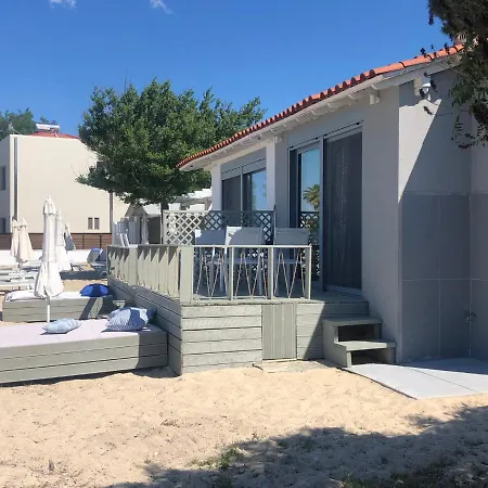 Zinozis Apartament *