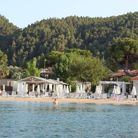 Zinozis * فوروفورو